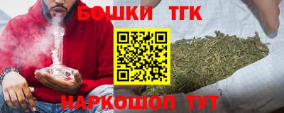 индика Будённовск