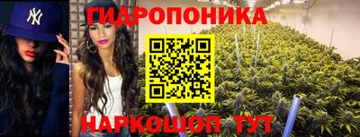 эйфоретик Бузулук