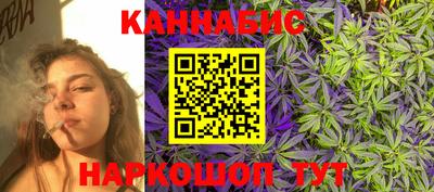 индика Будённовск