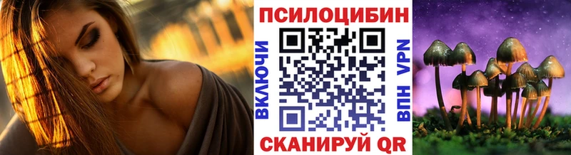 Псилоцибиновые грибы мухоморы  мега маркетплейс  Зима  купить наркотики цена 