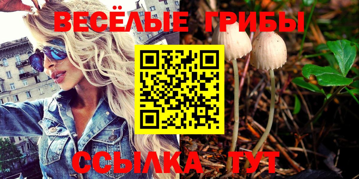 Галлюциногенные грибы мухоморы Зима