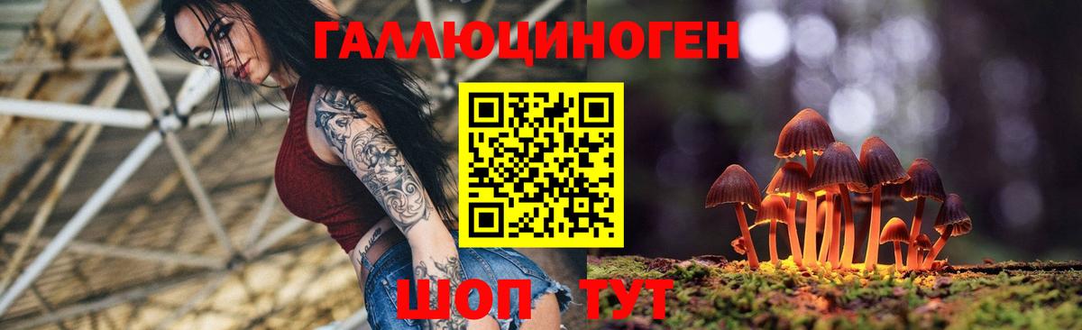 Псилоцибиновые грибы Psilocybine cubensis  Вход с VPN  Зима 